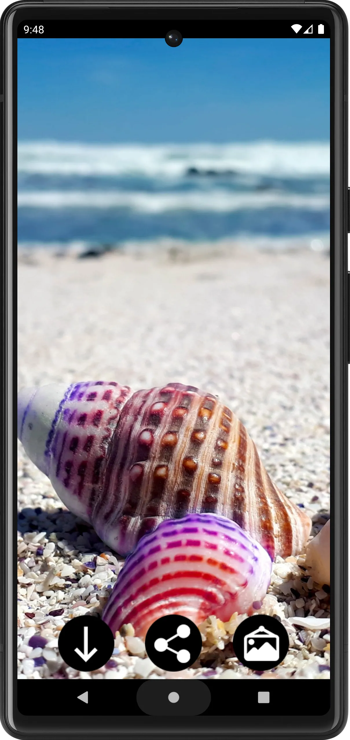 Beach HD Wallpaper | for phone | Indus Appstore | Screenshot