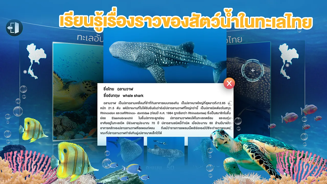 STKC Thai Sea Discovery | Indus Appstore | Screenshot