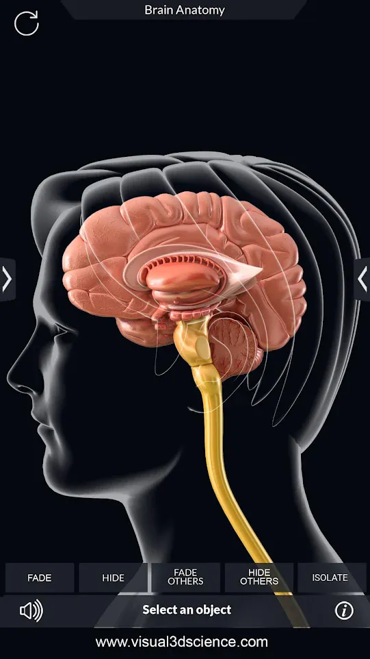 Brain Anatomy Pro. | Indus Appstore | Screenshot