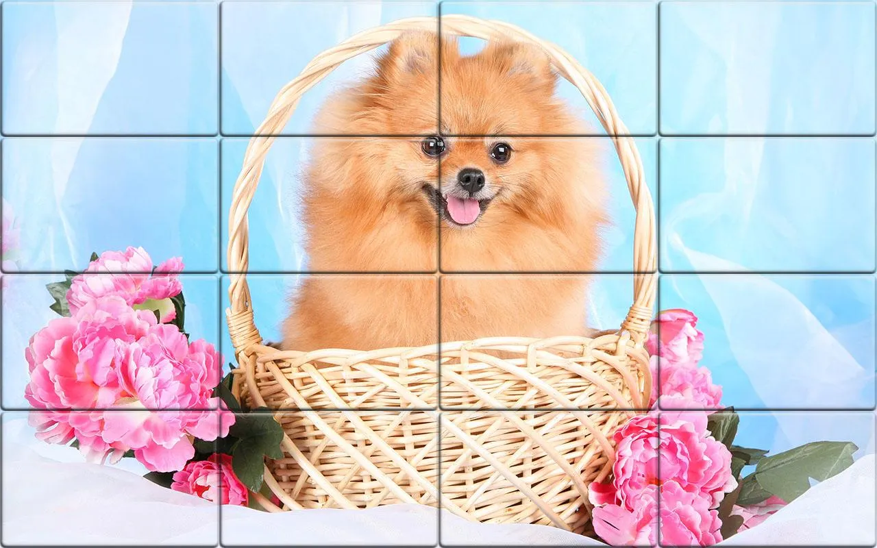 Tile Puzzle Pomeranian Dogs | Indus Appstore | Screenshot