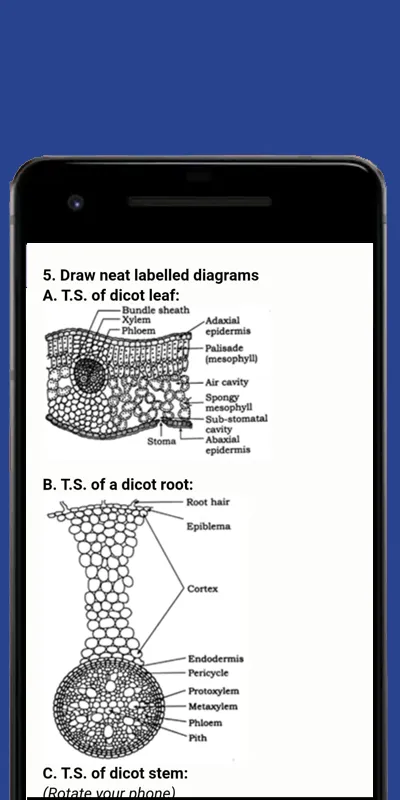 11th Science Notes 2022 | Indus Appstore | Screenshot