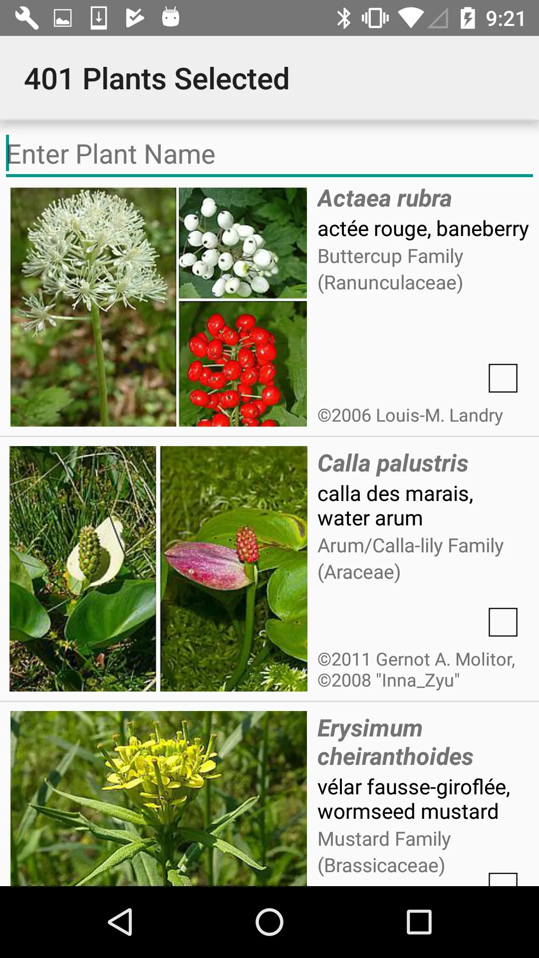 Québec Wildflowers | Indus Appstore | Screenshot