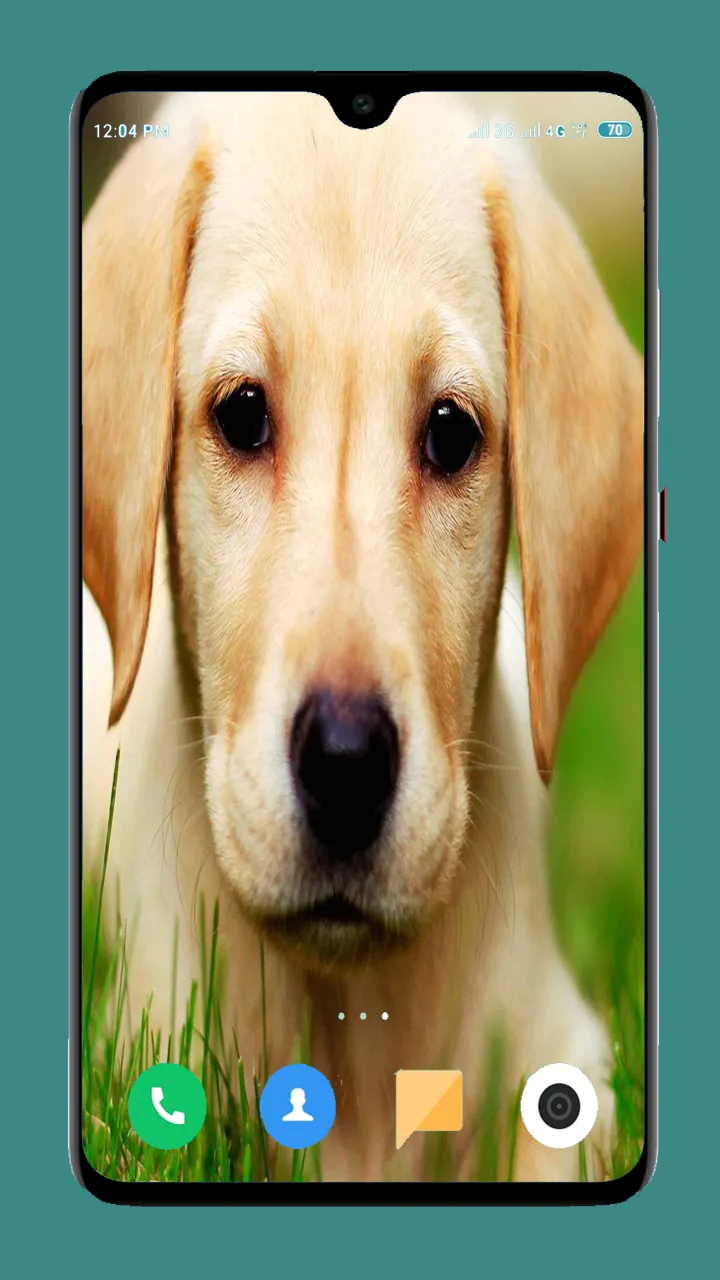 Dog Wallpaper 4K | Indus Appstore | Screenshot