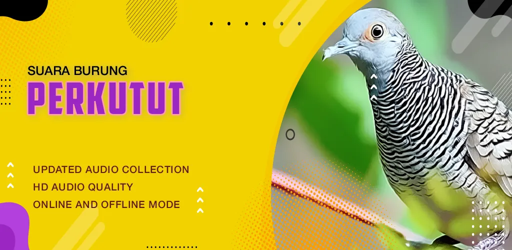 Suara Burung: Kicau Perkutut | Indus Appstore | Screenshot