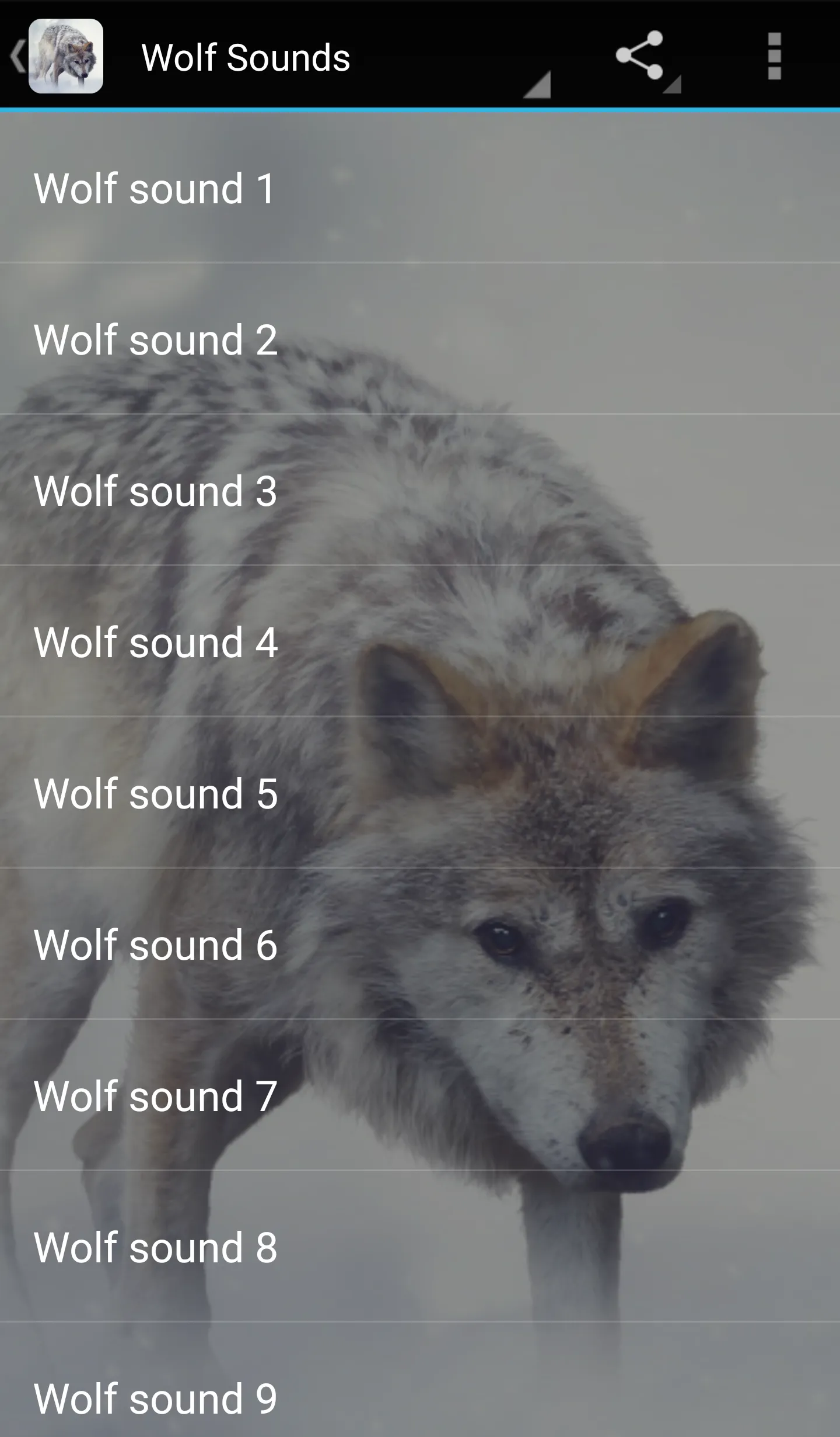 Wolf Sounds | Indus Appstore | Screenshot