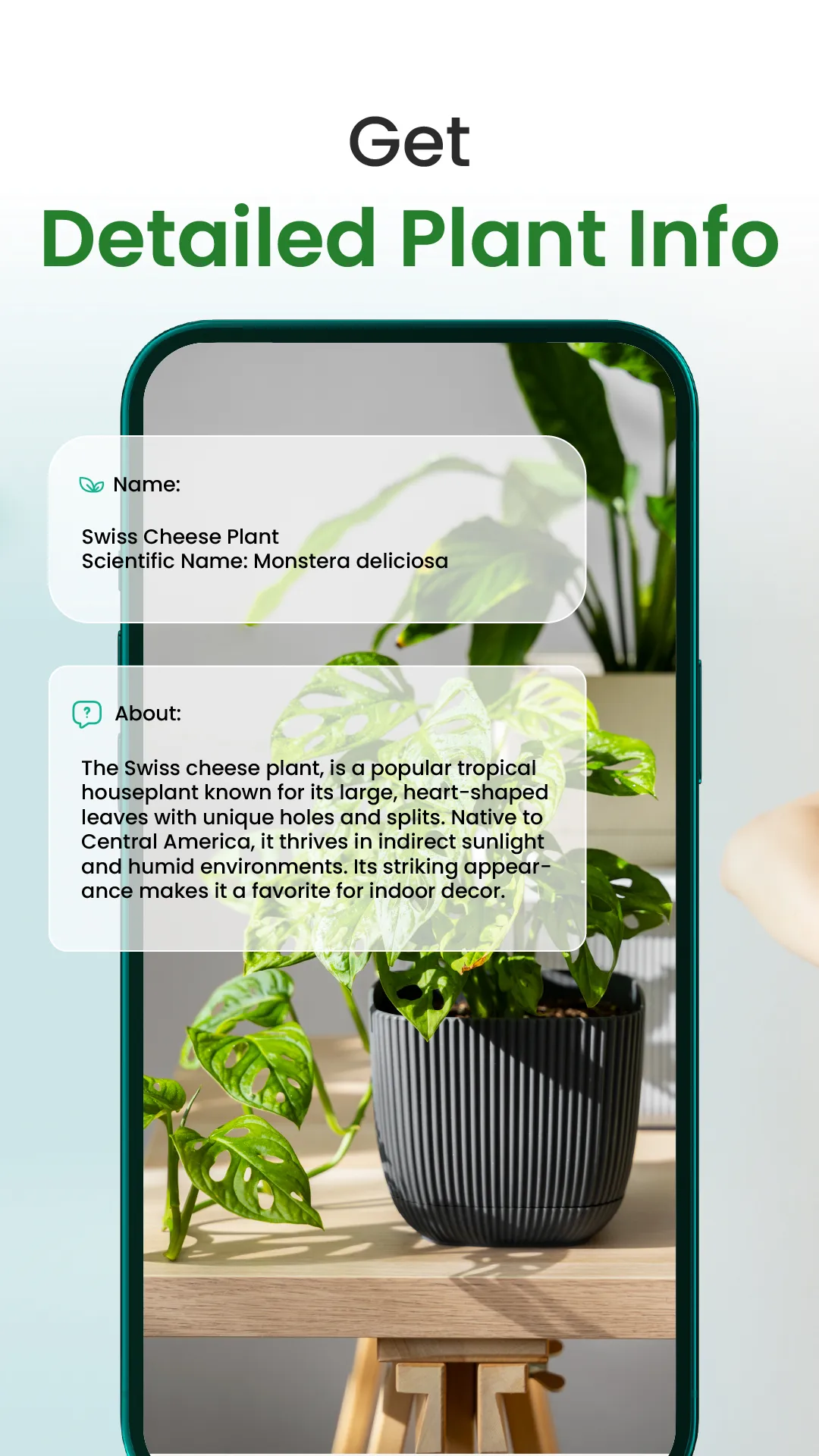 Florify: AI Plant Identifier | Indus Appstore | Screenshot