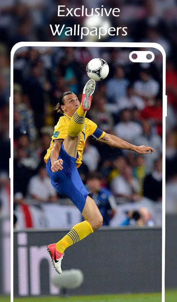 Zlatan Ibrahimovic Wallpaper | Indus Appstore | Screenshot