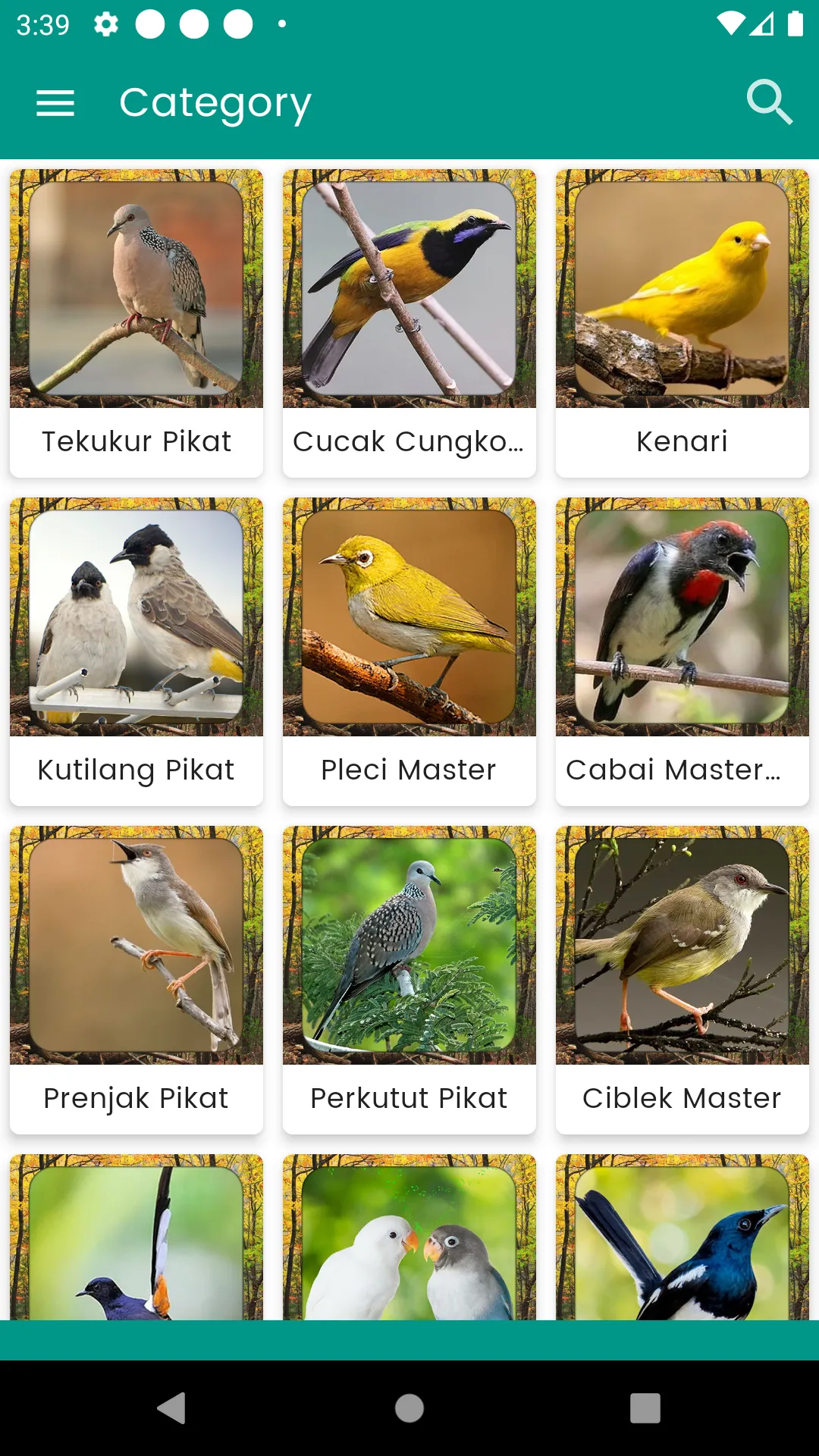 Suara Burung Tekukur Pikat | Indus Appstore | Screenshot