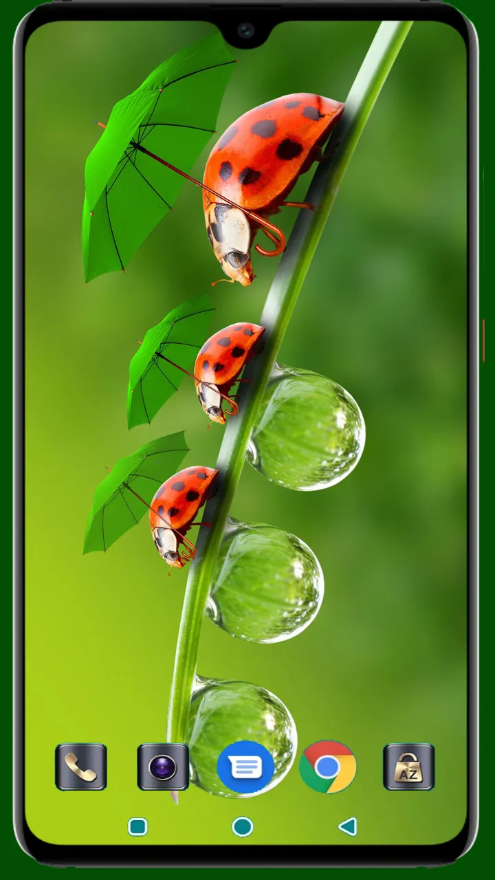 Lady Bug Wallpaper | Indus Appstore | Screenshot