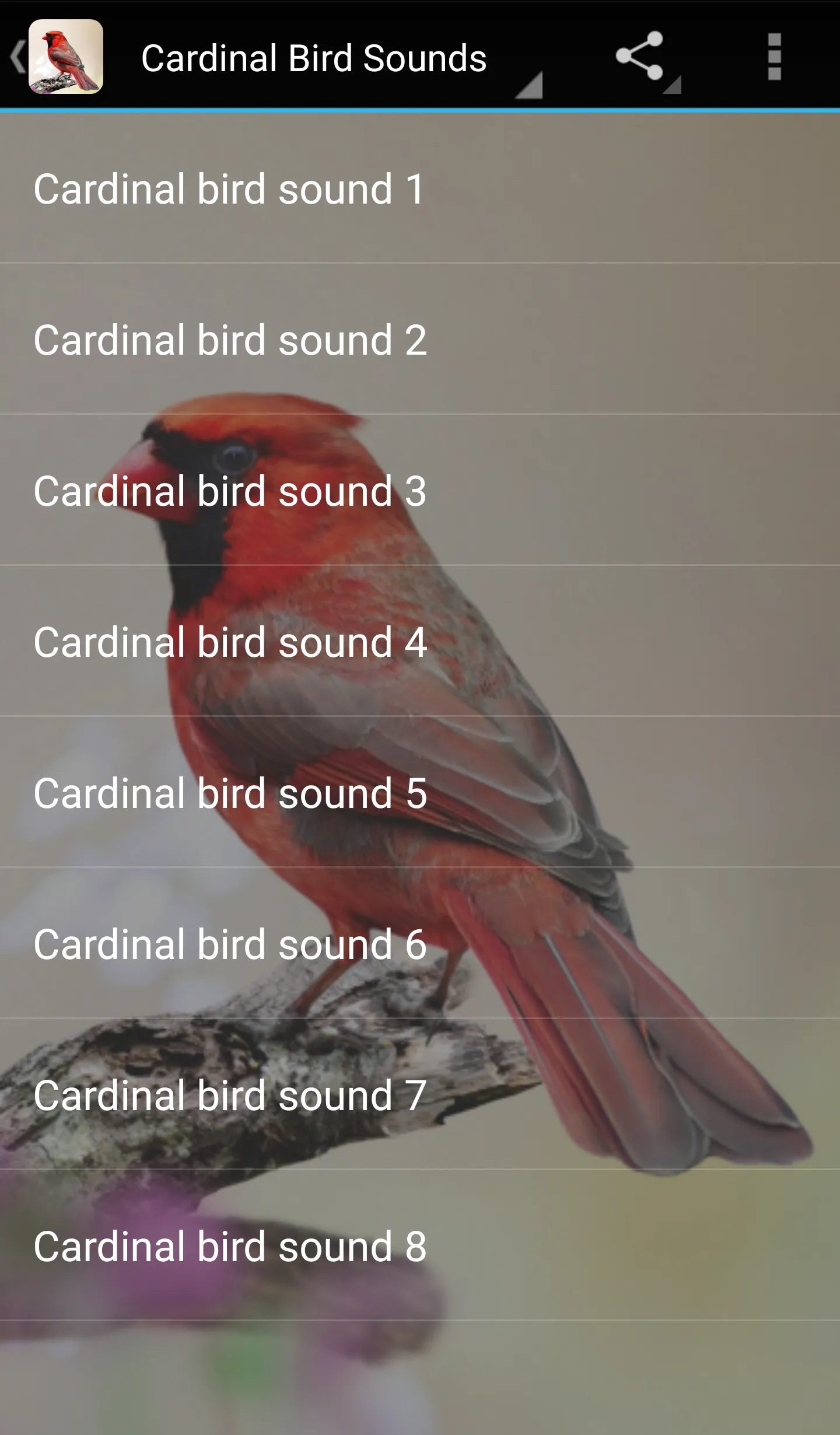 Cardinal Bird Sounds | Indus Appstore | Screenshot