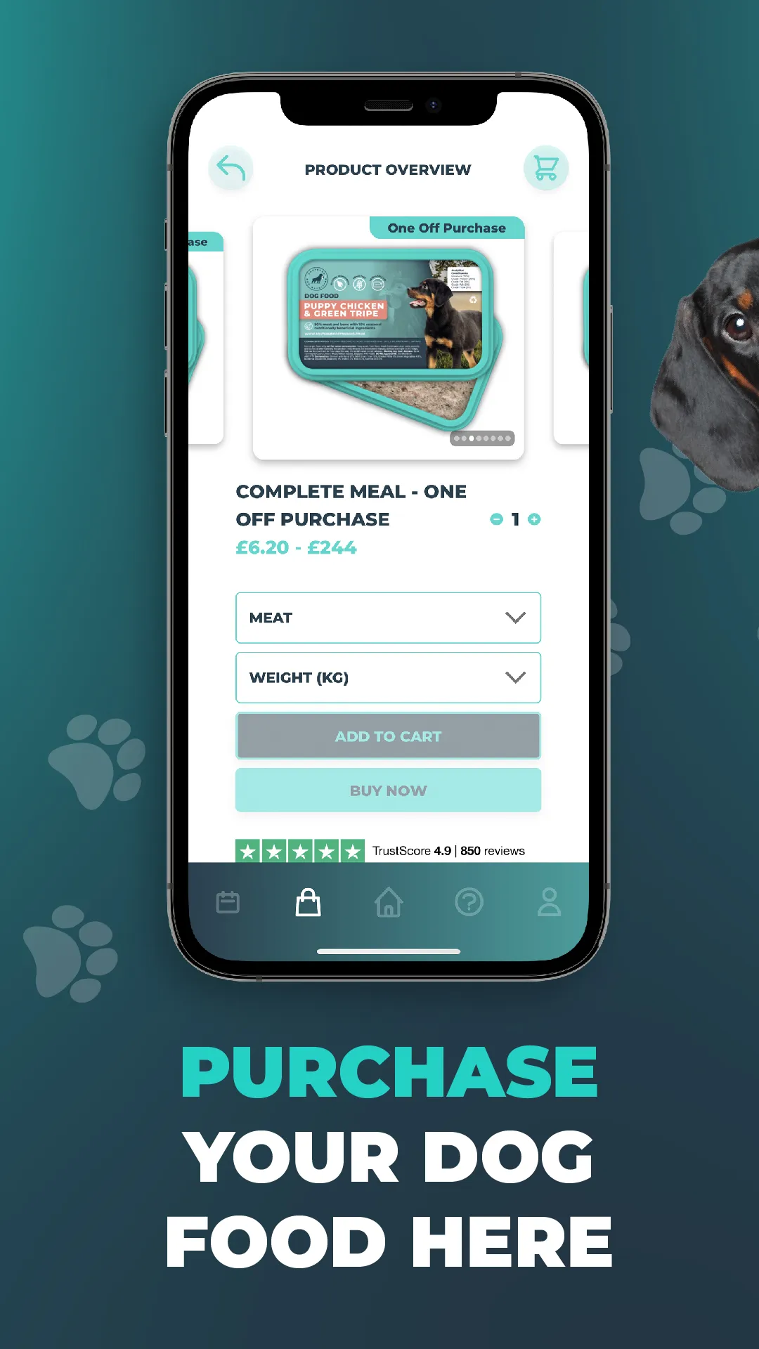 Southend Dog Training | Indus Appstore | Screenshot