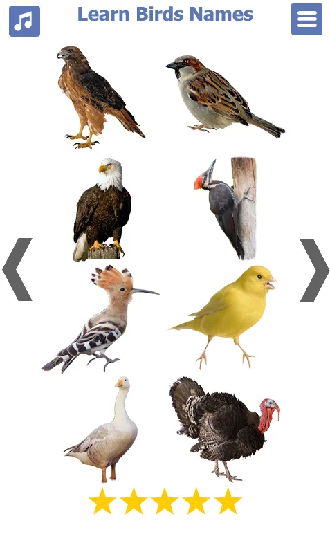 Birds Name: Learn & Listen | Indus Appstore | Screenshot