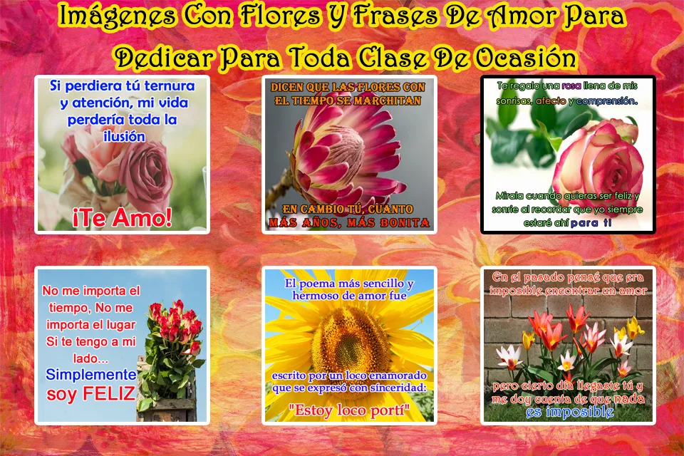 Flores Con Frases | Indus Appstore | Screenshot