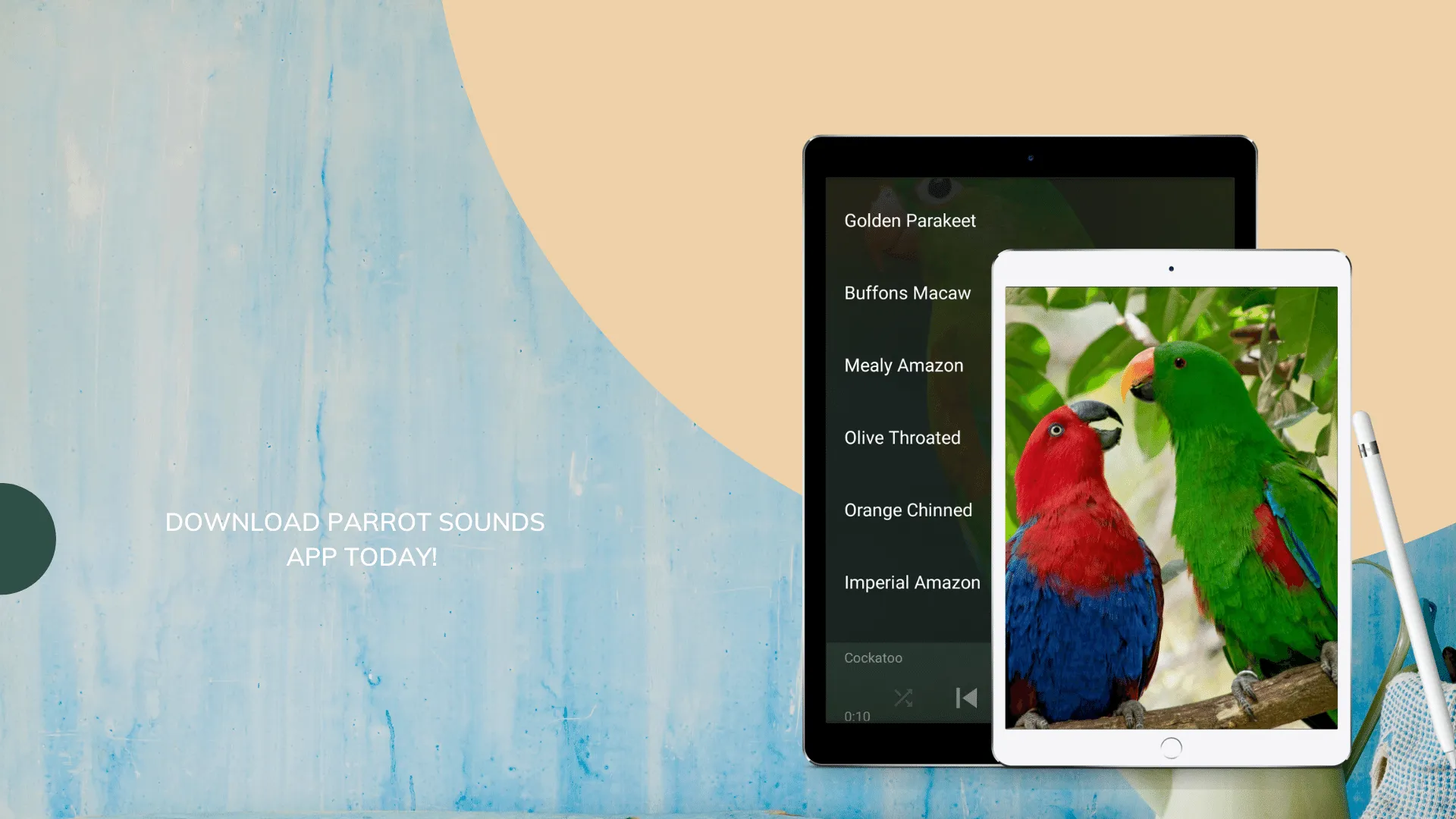 Parrot Sounds | Indus Appstore | Screenshot