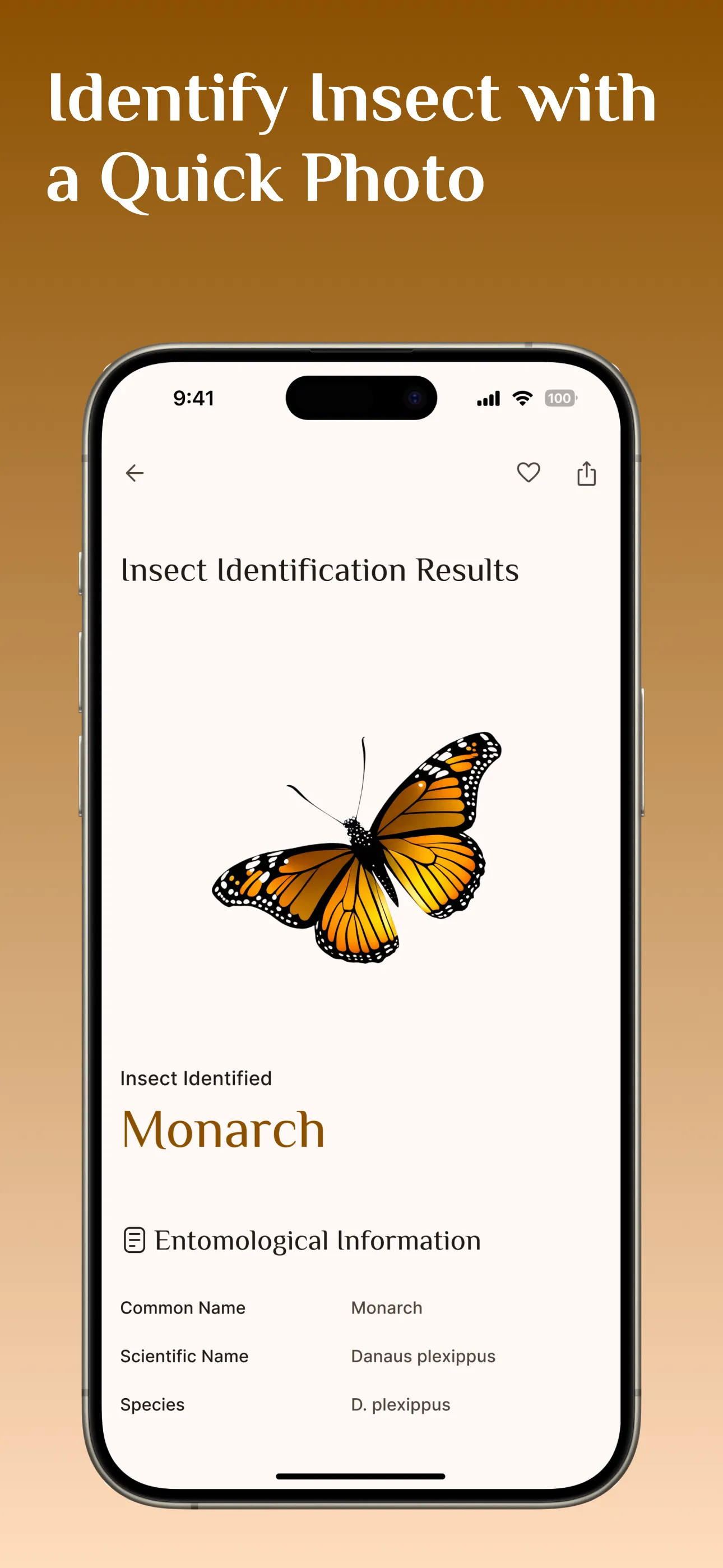 Bug Identifier App, Spider Id | Indus Appstore | Screenshot