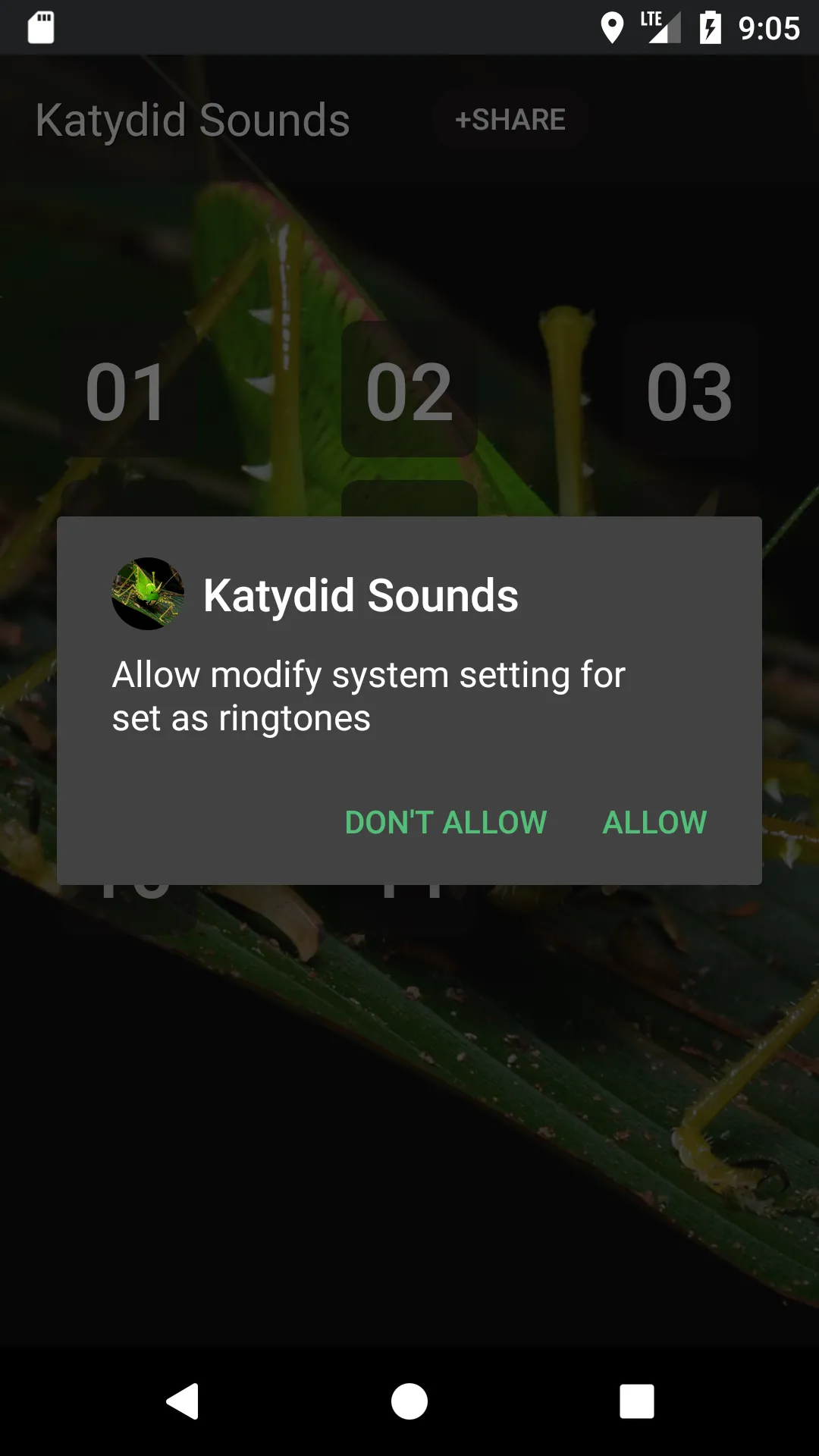 Katydid sounds | Indus Appstore | Screenshot