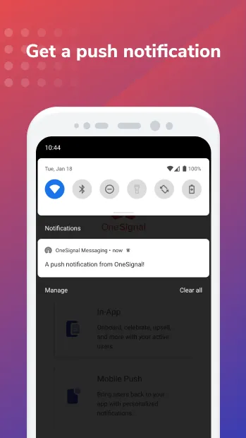 OneSignal Messaging | Indus Appstore | Screenshot