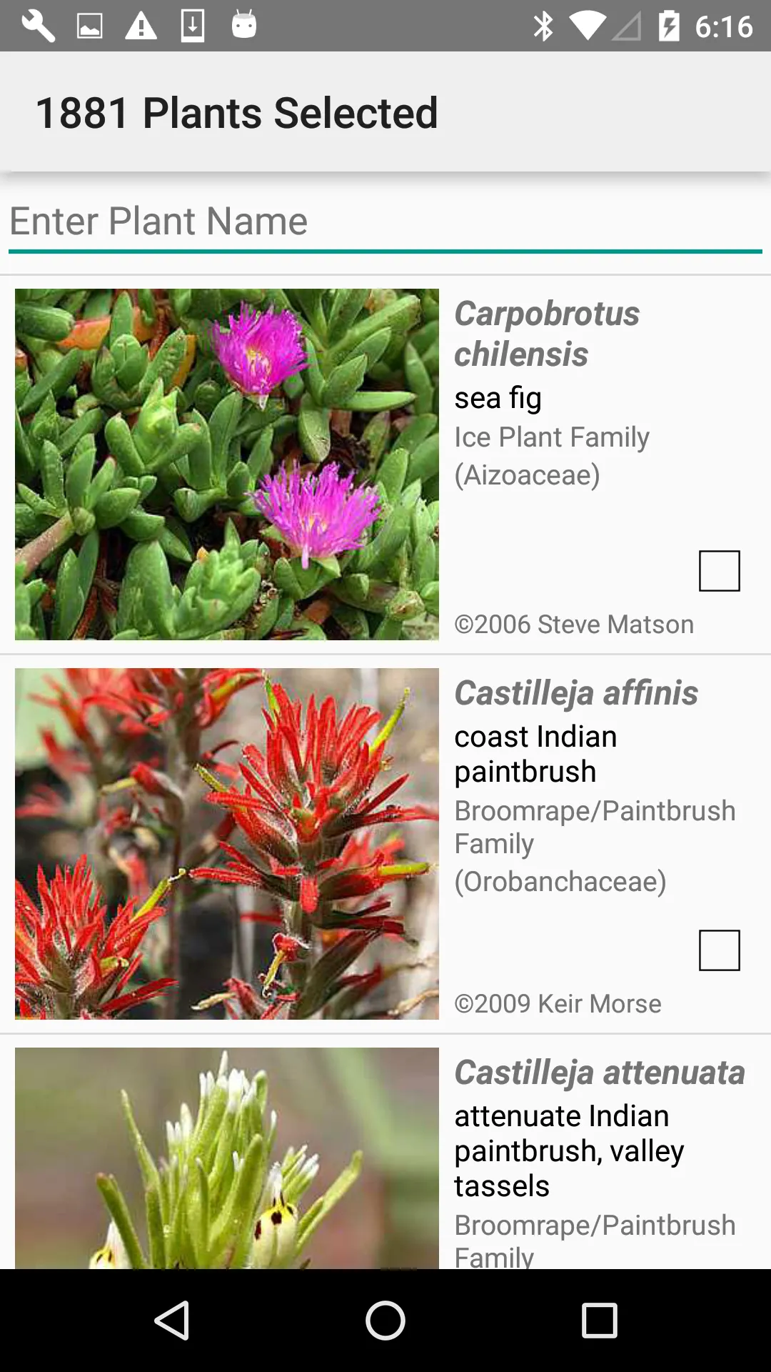 South California Wildflowers | Indus Appstore | Screenshot