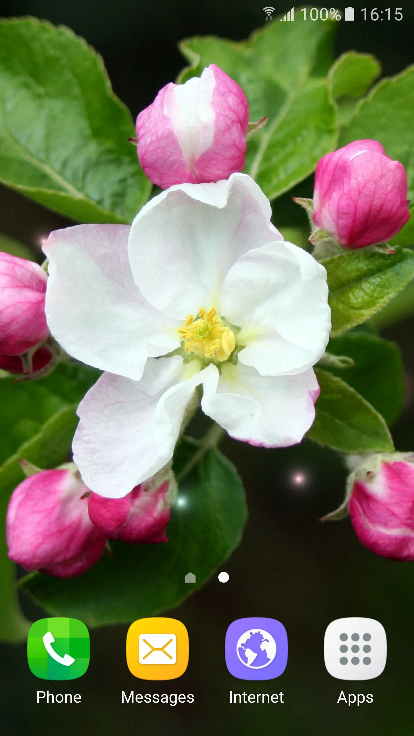 Springtime Live Wallpaper | Indus Appstore | Screenshot