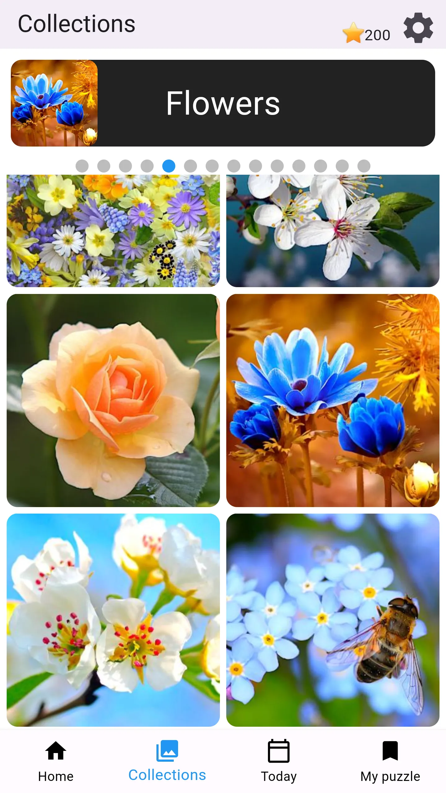 Jigsaw Puzzles Collections | Indus Appstore | Screenshot