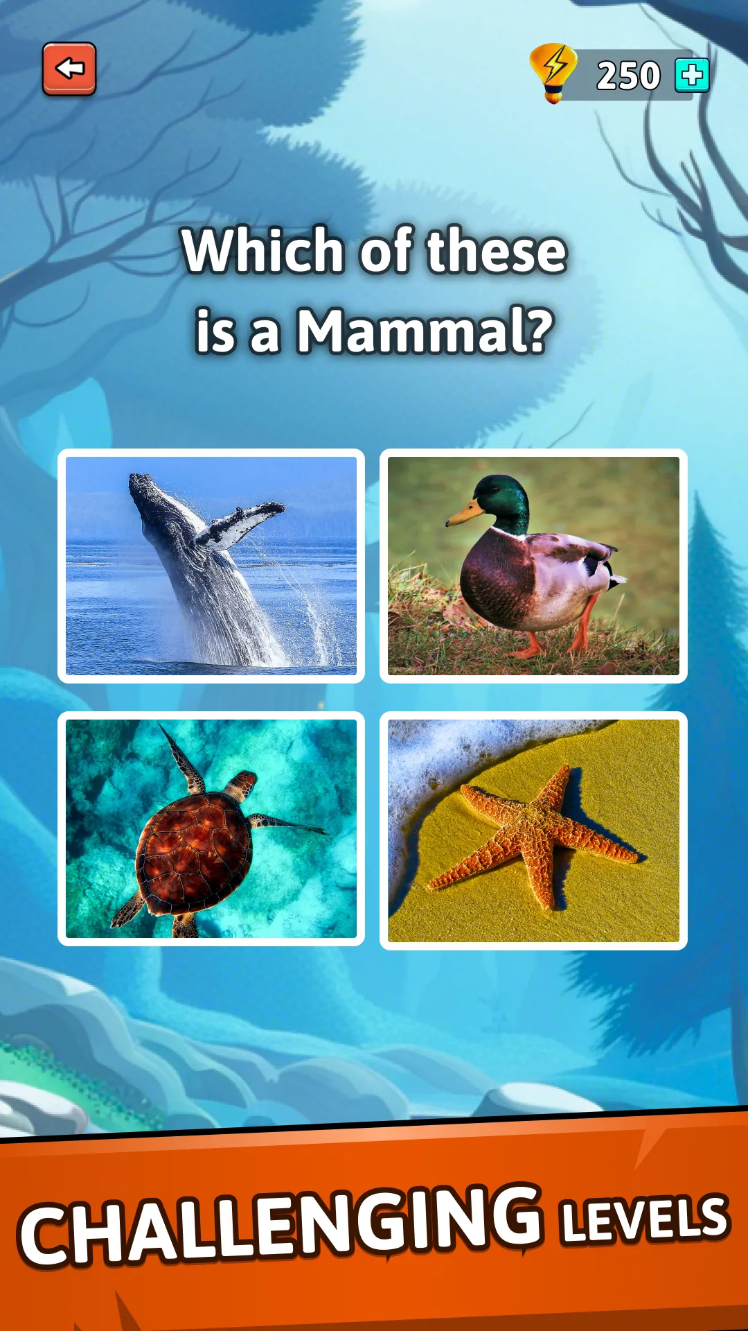 Animal Quiz Guess their Answer | Indus Appstore | Screenshot