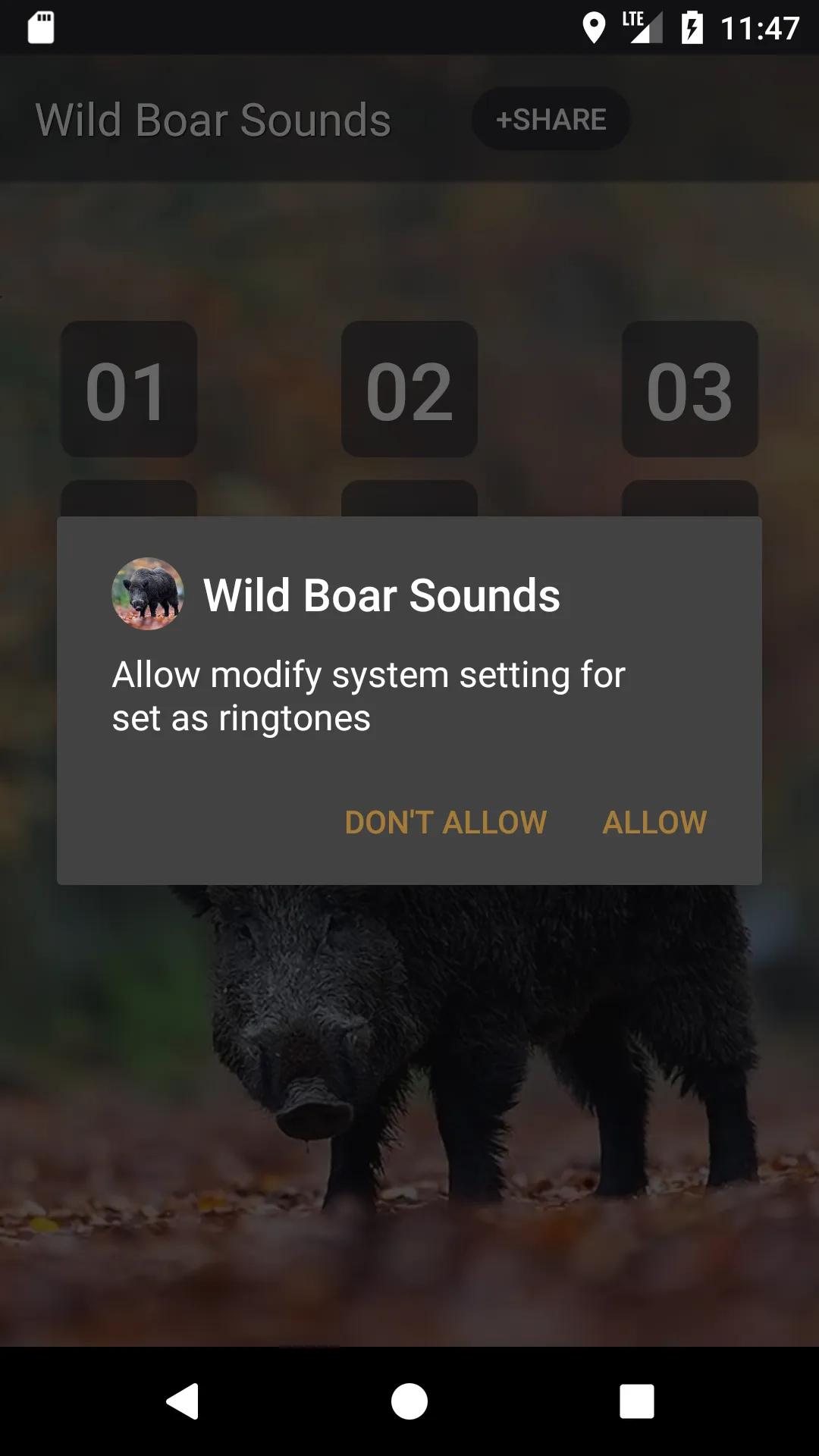 Wild boar Soundboard | Indus Appstore | Screenshot