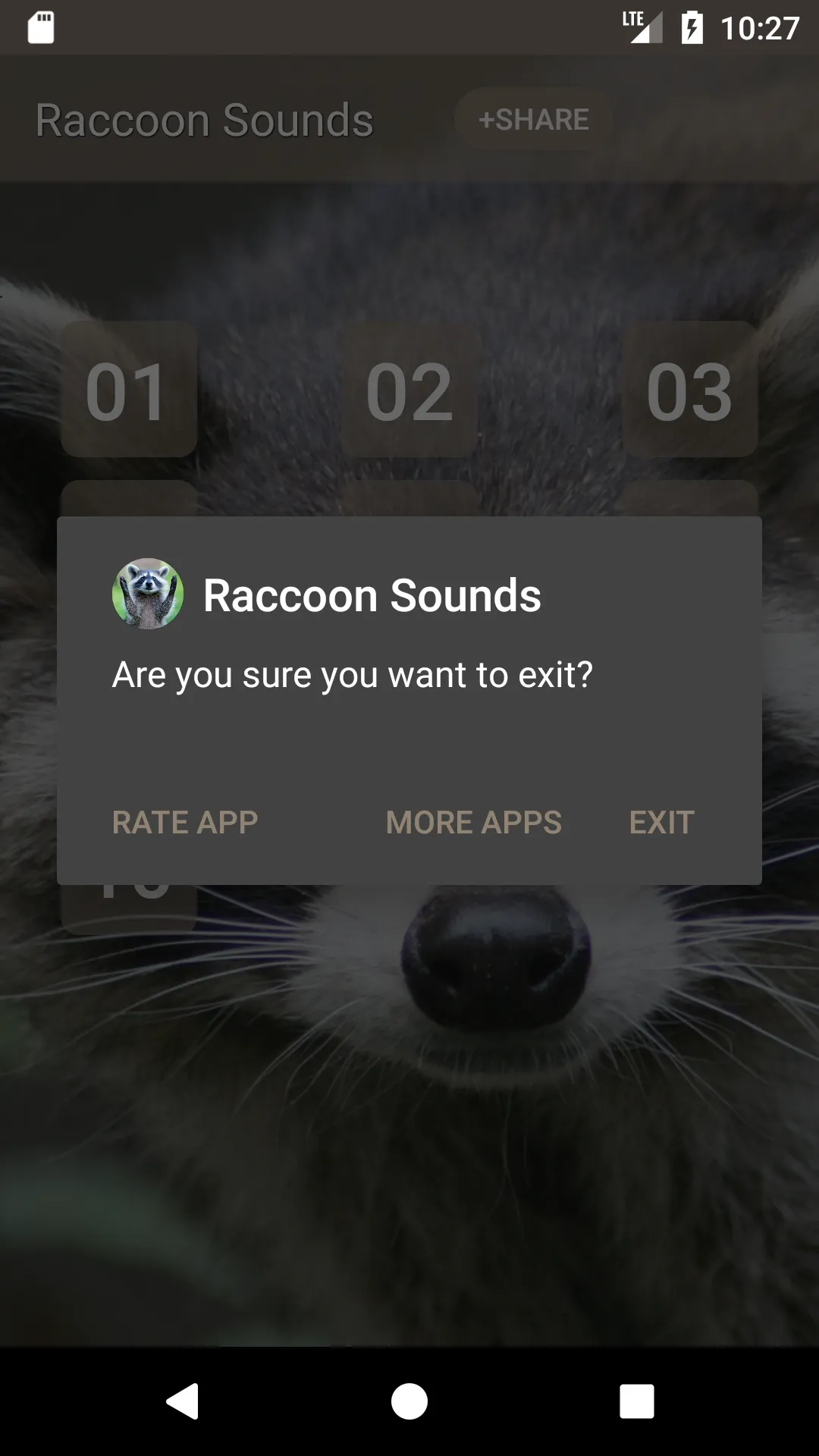 Raccoon Sounds | Indus Appstore | Screenshot