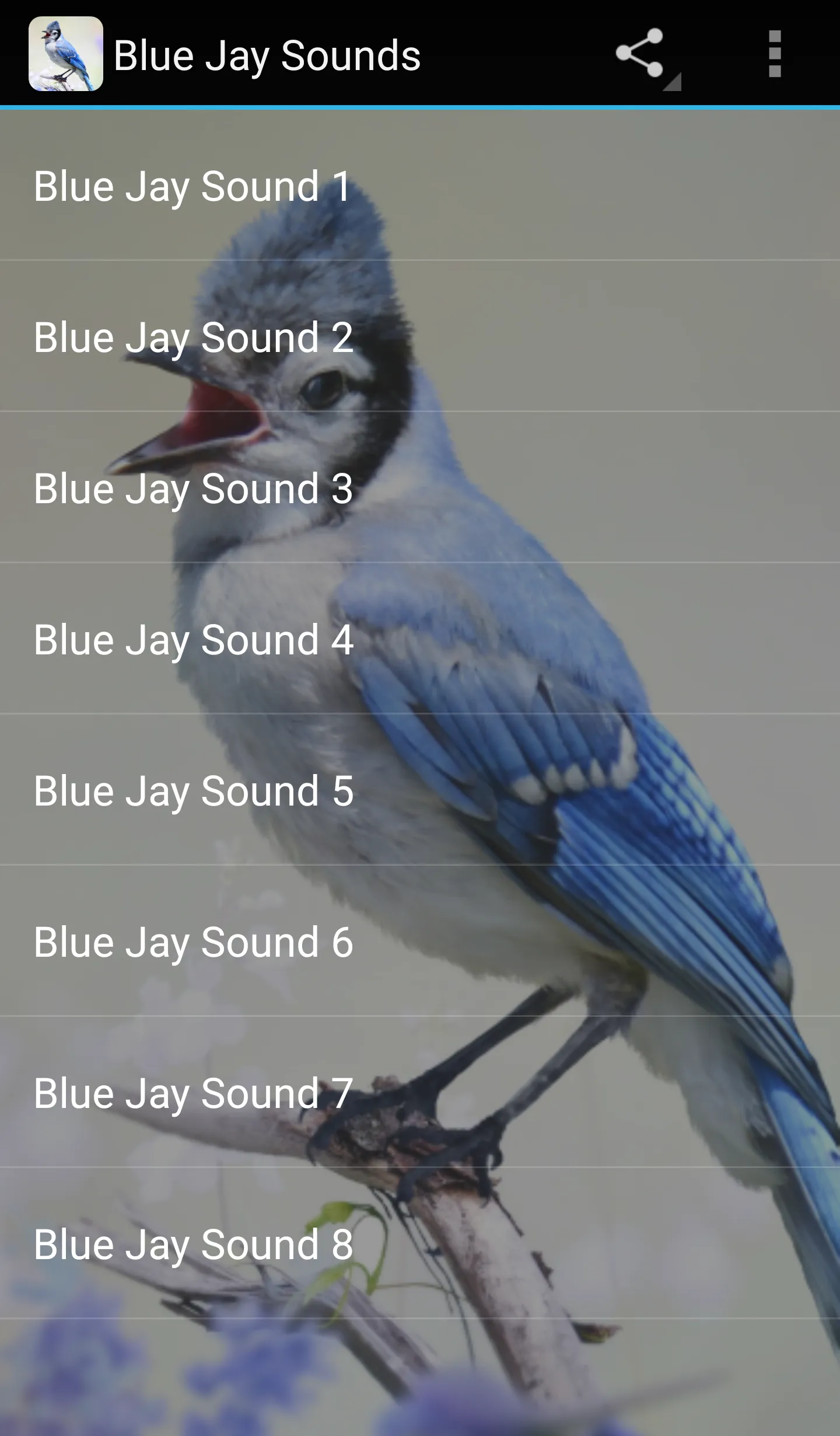 Blue Jay Sounds | Indus Appstore | Screenshot