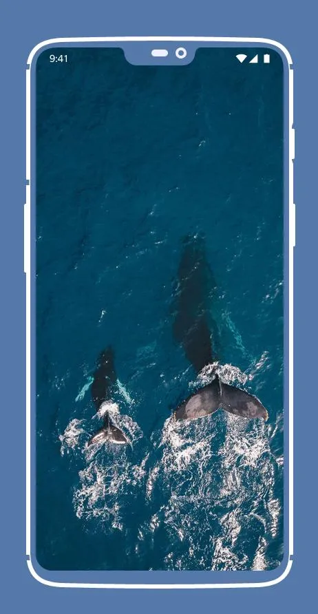 Blue Aesthetic Wallpapers | Indus Appstore | Screenshot