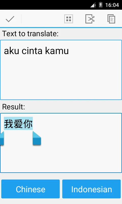 Indonesian Chinese Translator | Indus Appstore | Screenshot