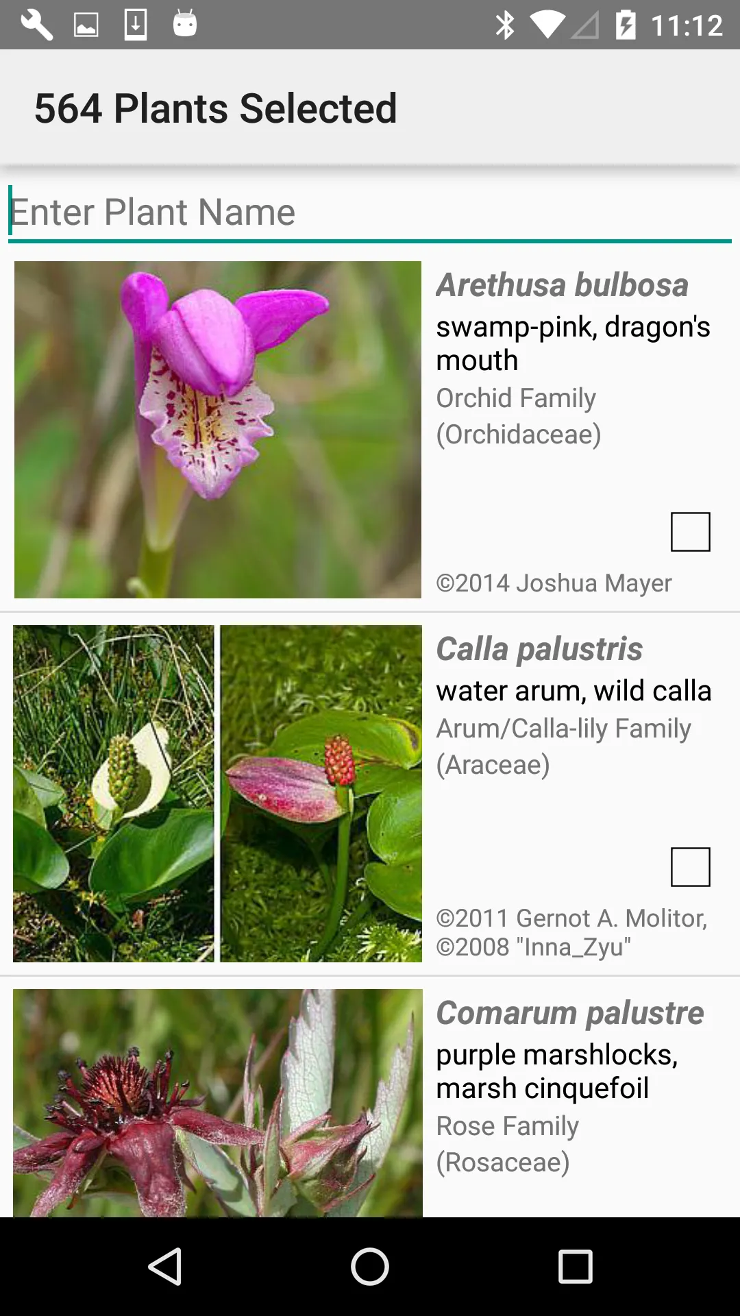 Minnesota Wildflower Search | Indus Appstore | Screenshot