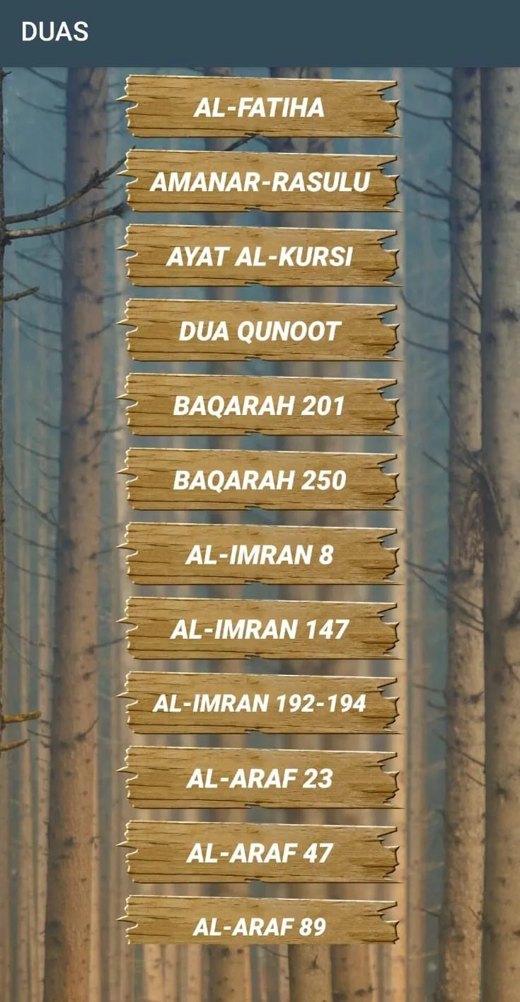 Duas & prayer & Jawshan & Asma | Indus Appstore | Screenshot