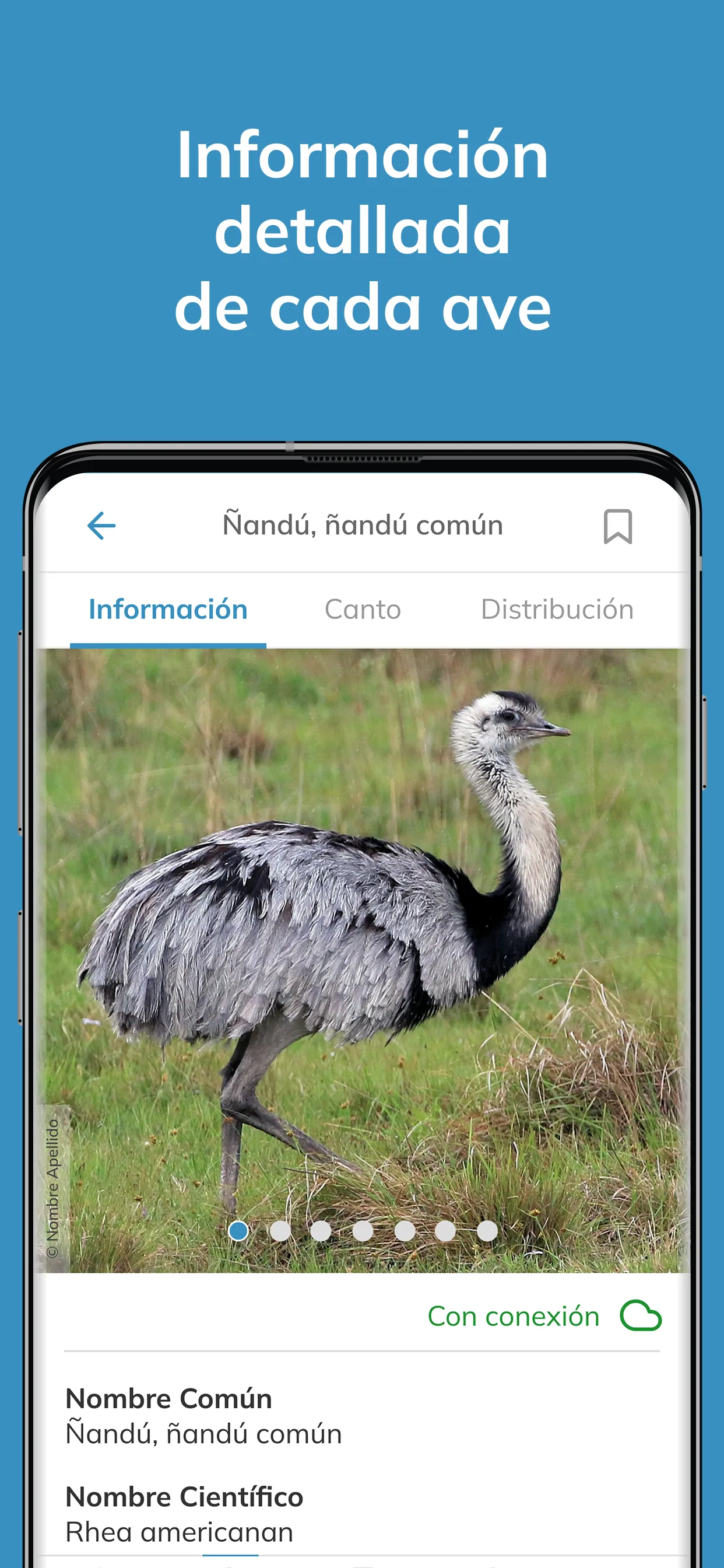 Aves argentinas | Indus Appstore | Screenshot