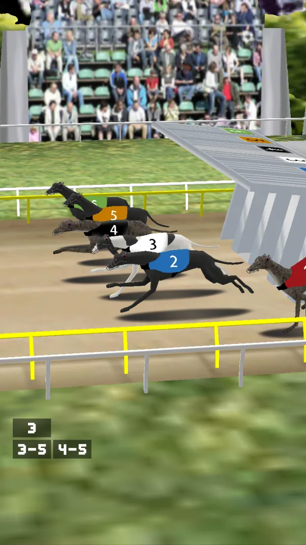 Simple Greyhound Racing | Indus Appstore | Screenshot