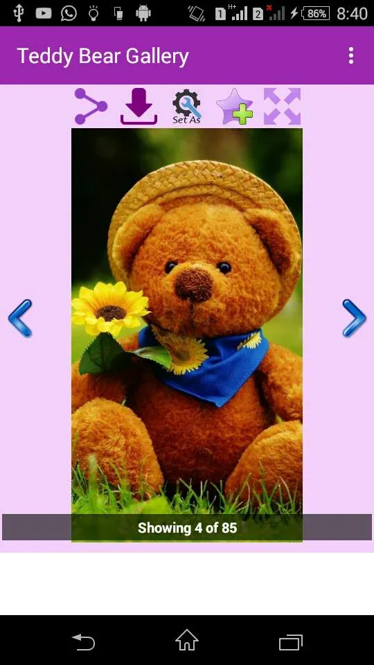 Teddy Bear Gallery | Indus Appstore | Screenshot