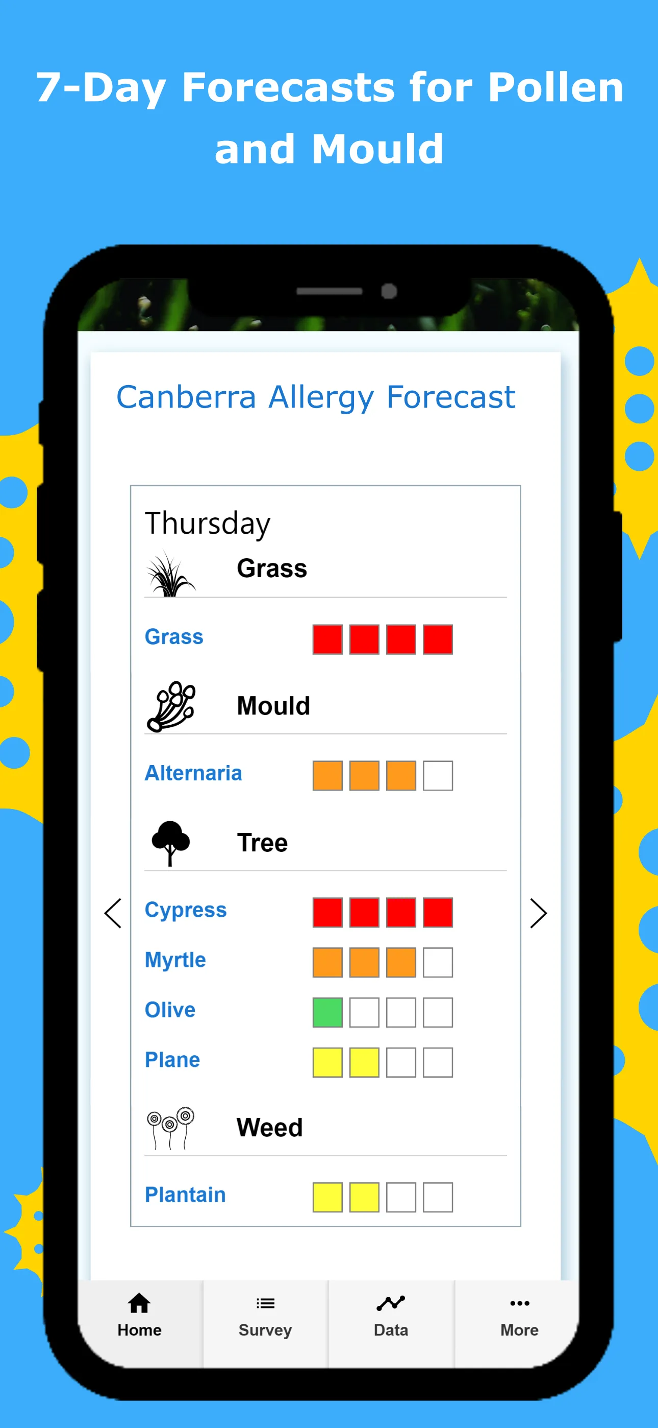 Canberra Pollen Count | Indus Appstore | Screenshot