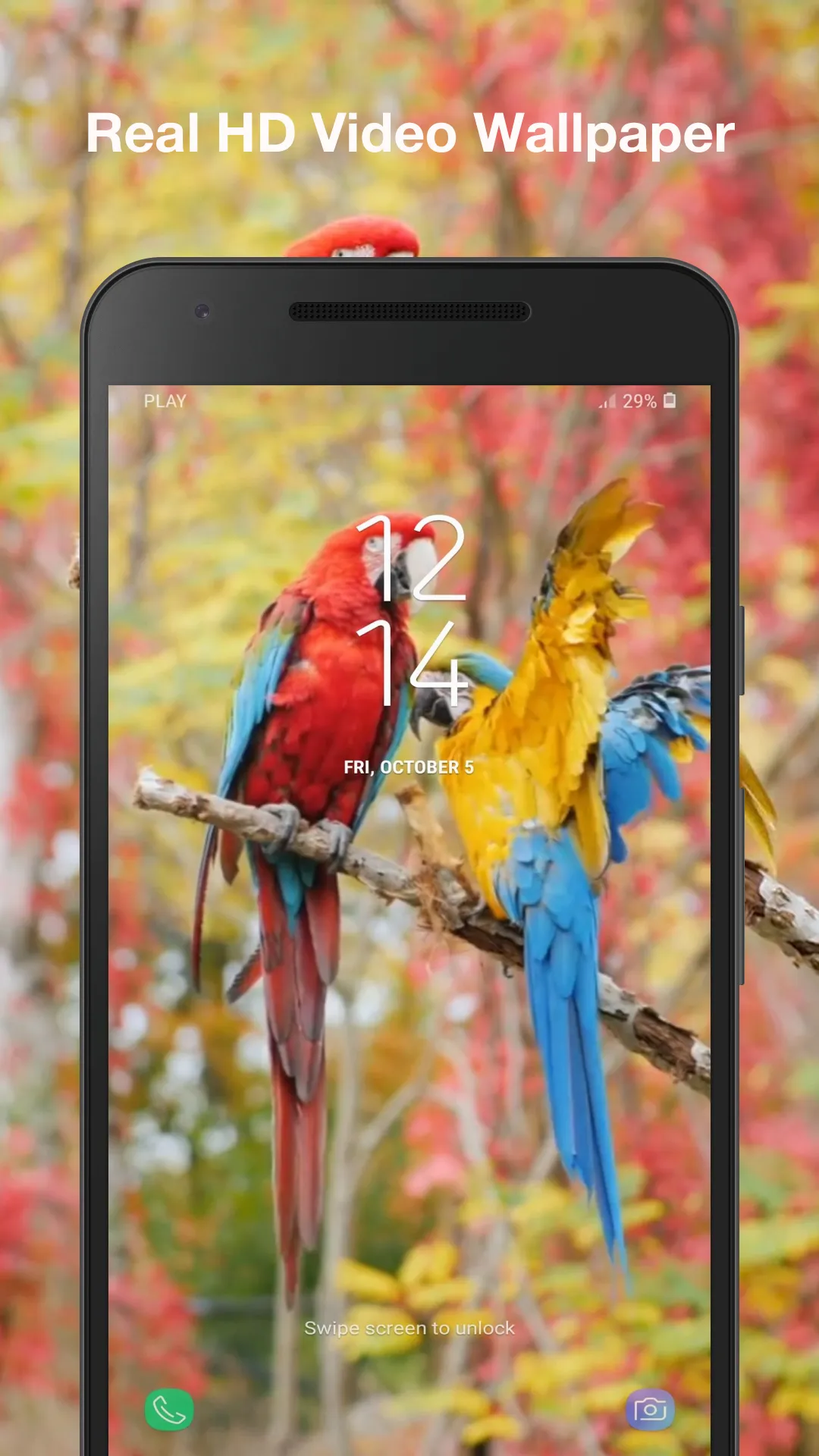 Beauty Birds Live Wallpaper | Indus Appstore | Screenshot