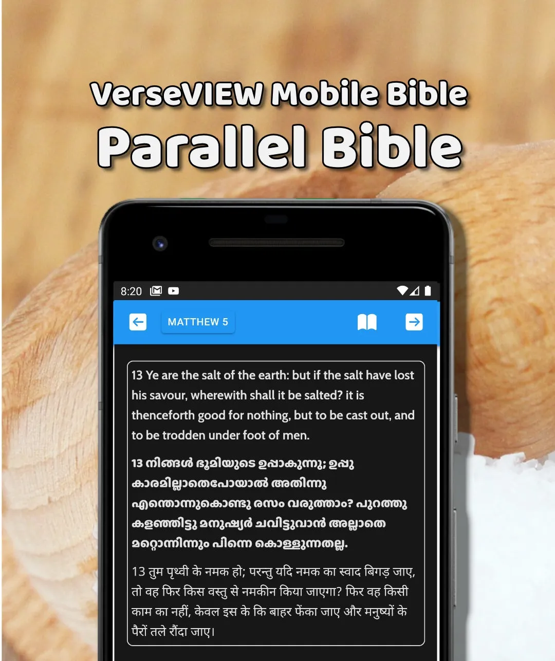 VerseVIEW Mobile Bible 2 | Indus Appstore | Screenshot