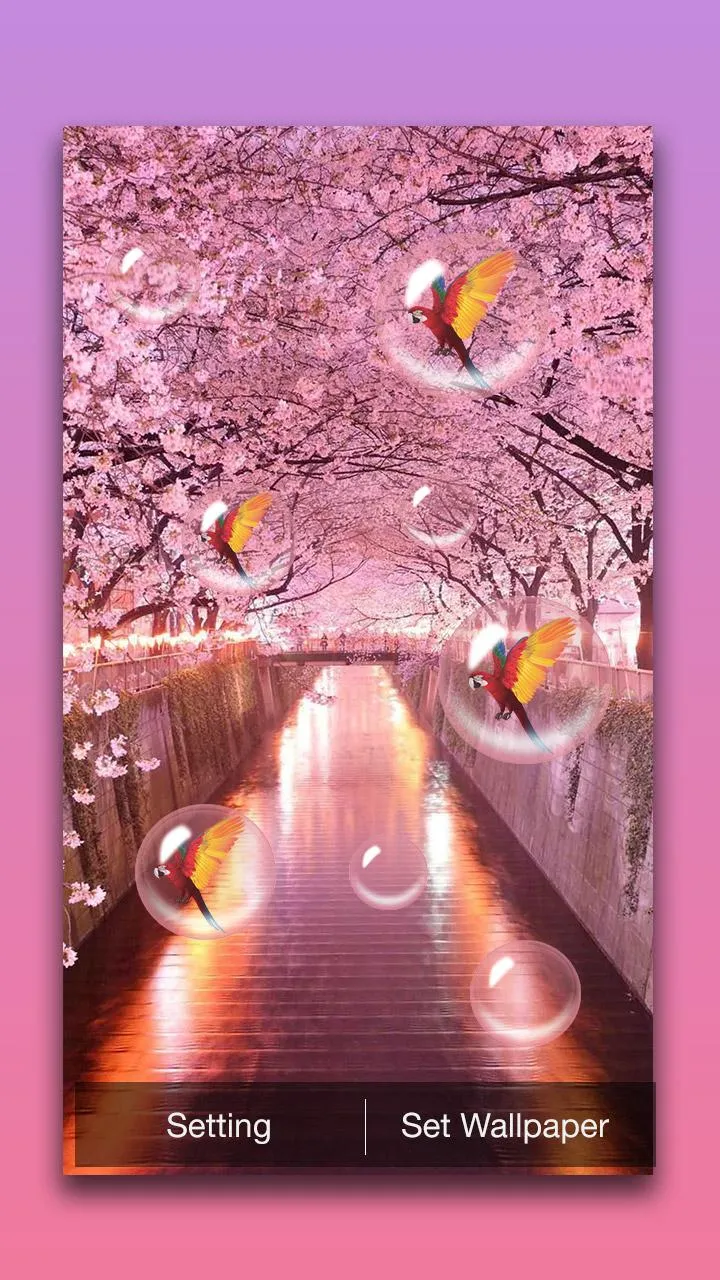 Sakura Live Wallpaper | Indus Appstore | Screenshot