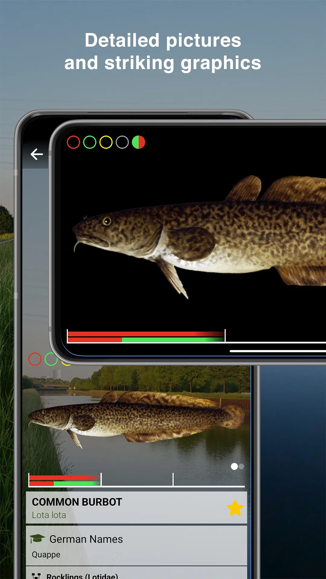 Fishguide NRW | Indus Appstore | Screenshot