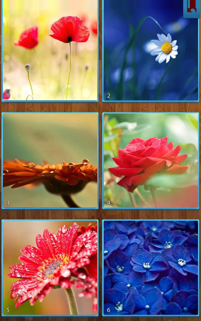 Flower Jigsaw Puzzles | Indus Appstore | Screenshot