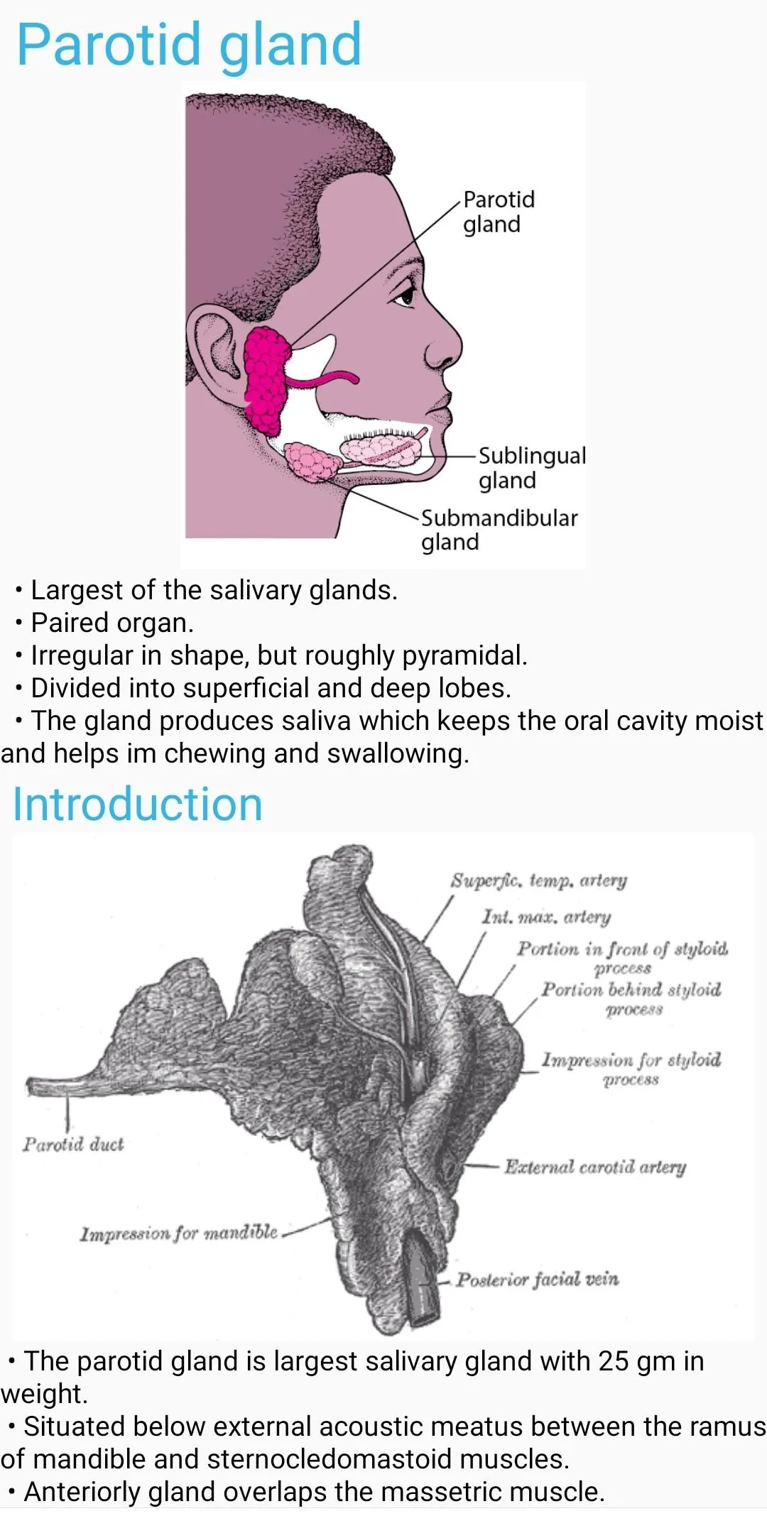 Human Anatomy E Theories | Indus Appstore | Screenshot