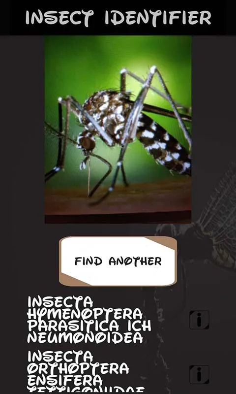 Automatic insect identifier | Indus Appstore | Screenshot