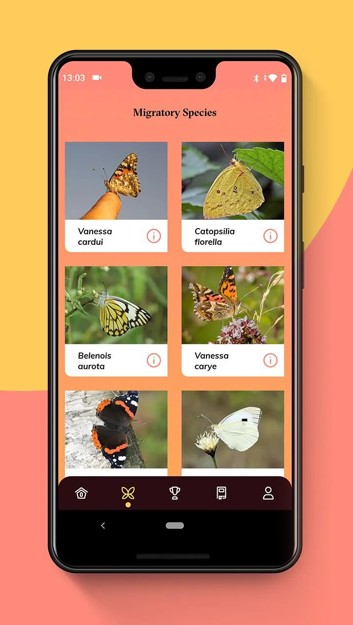 Butterfly Migration | Indus Appstore | Screenshot