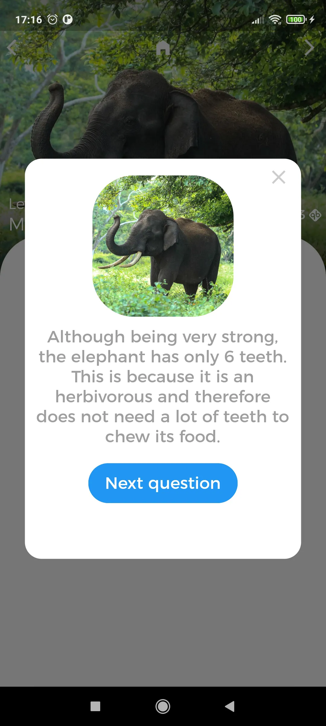 Animals Quest - Fun Quiz | Indus Appstore | Screenshot