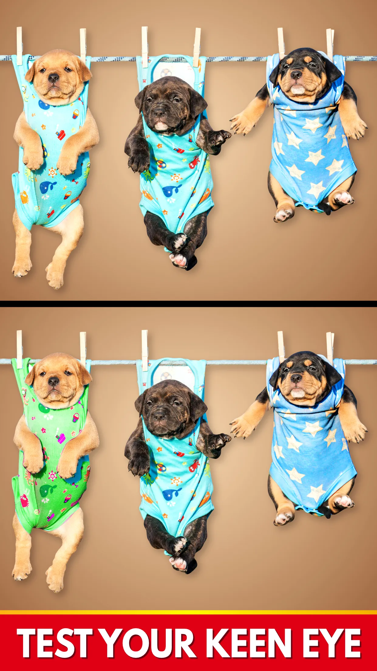 Find The Differences - Spot it | Indus Appstore | Screenshot