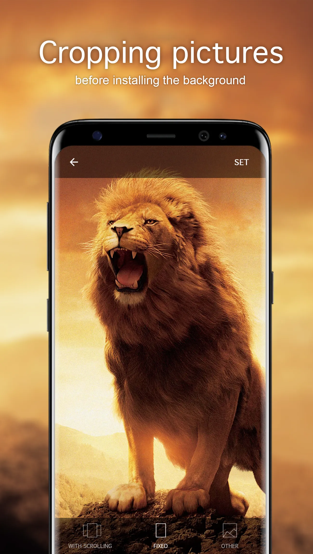 Lion Wallpapers 4K | Indus Appstore | Screenshot