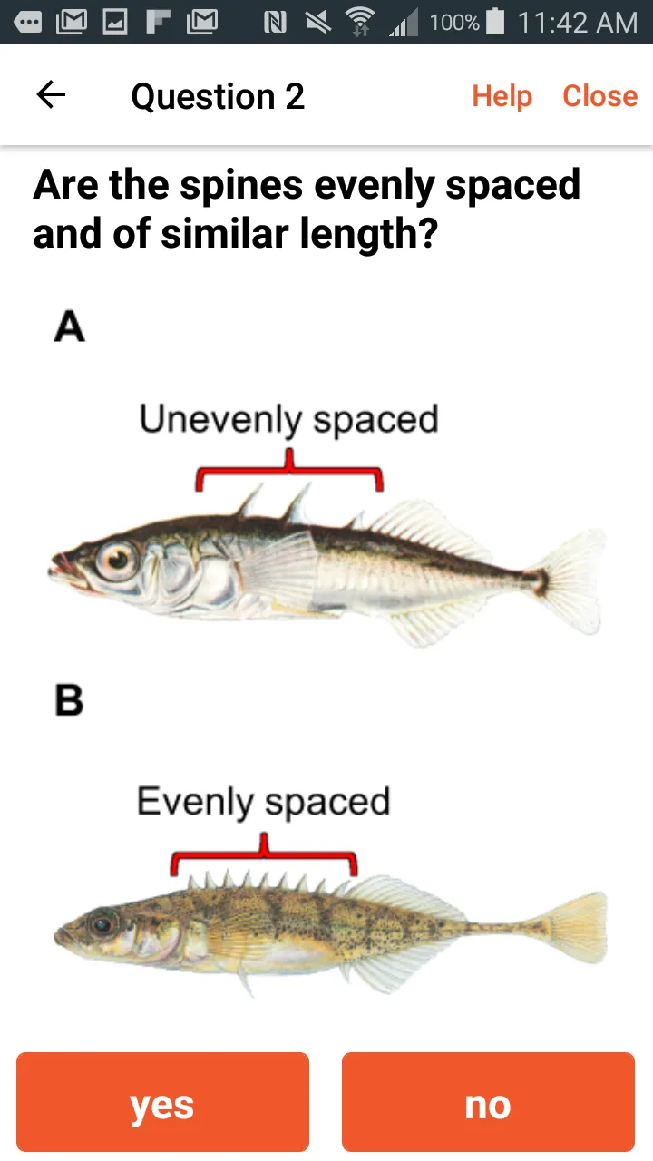 Baitfish Primer | Indus Appstore | Screenshot