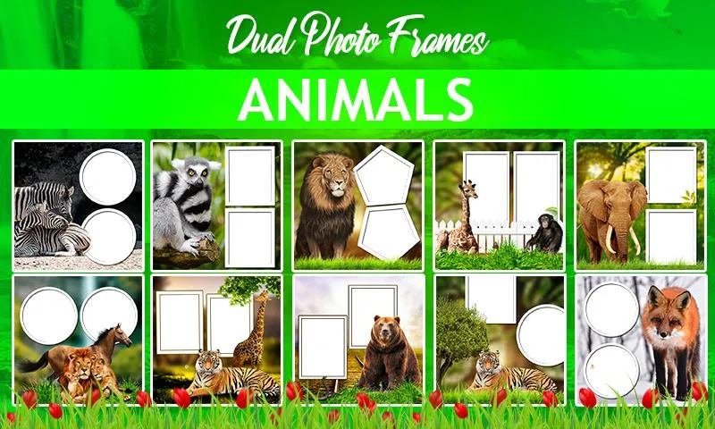 Dual Photo Frames 2024 | Indus Appstore | Screenshot