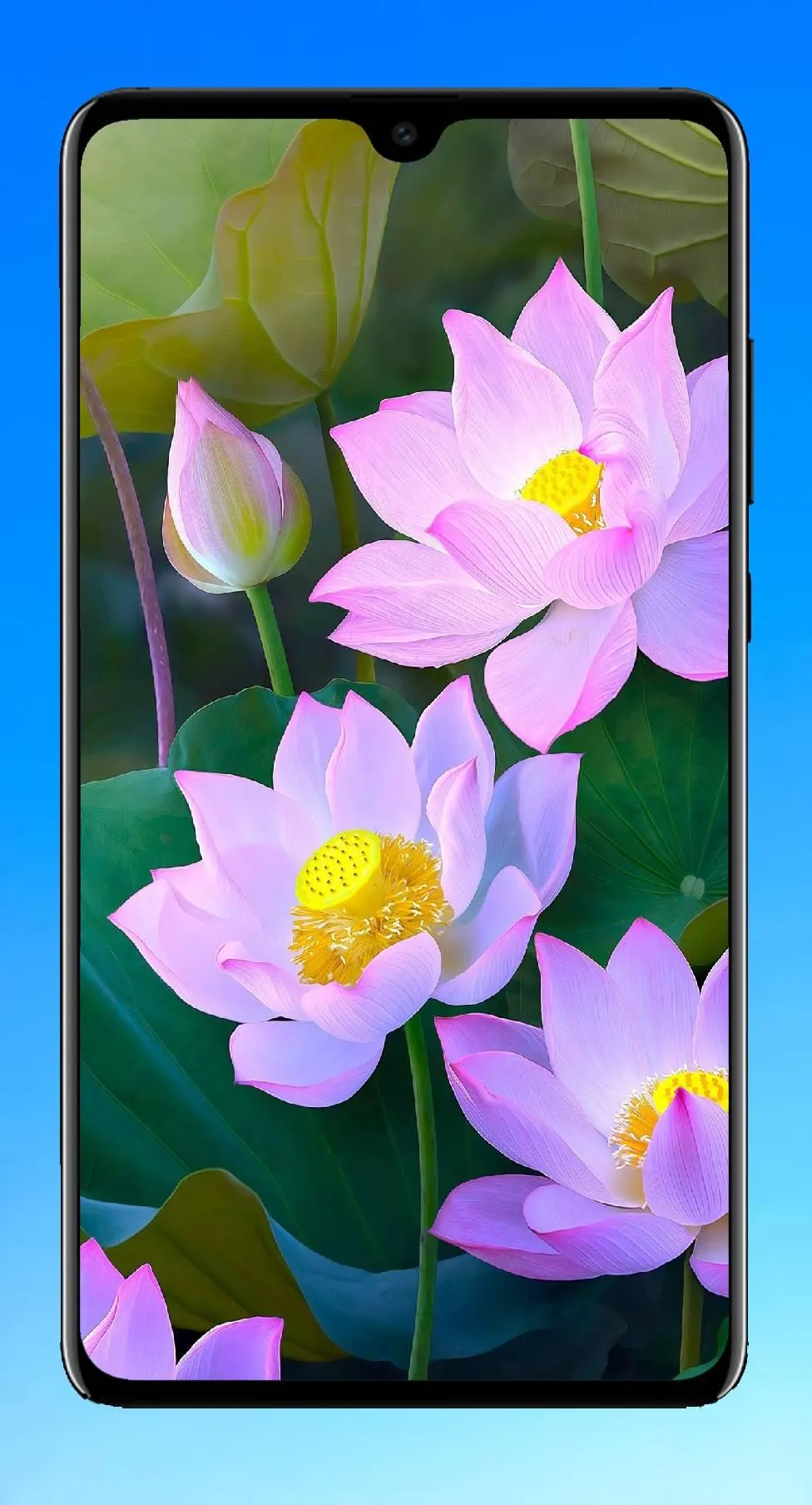 Lotus Wallpaper HD | Indus Appstore | Screenshot